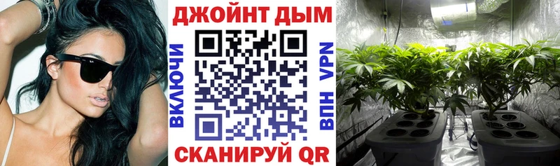 Виды наркоты Злынка ГАШИШ  Конопля  ЭКСТАЗИ  Меф мяу мяу 