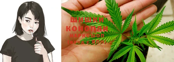 прущие грибы Новокубанск