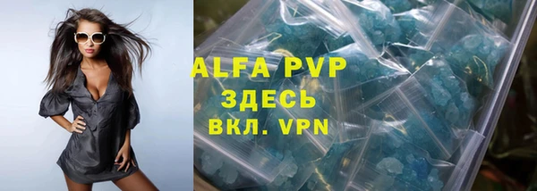 прущие грибы Новокубанск