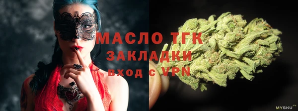 гашик Новозыбков