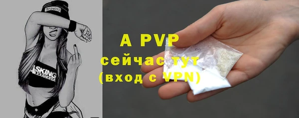 прущие грибы Новокубанск
