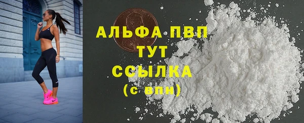 гашик Новозыбков
