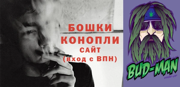 гашик Новозыбков