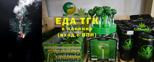 гашик Новозыбков