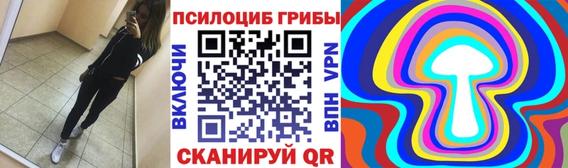 купить ссылка на мегу онион Псилоцибиновые грибы мухоморы Злынка